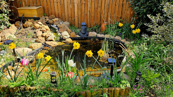 Mare du Refuge LPO &copy; Anne Javet